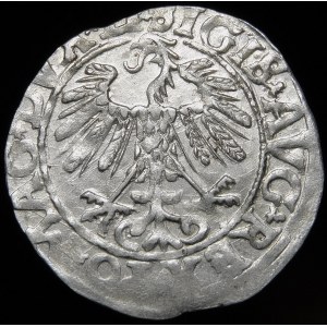 Sigismund II Augustus, Half-penny 1558, Vilnius - LI/LITVA