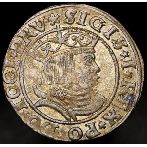 Sigismund I the Old, Penny 1531, Torun