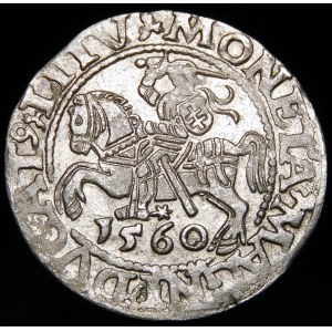 Zikmund II Augustus, půlgroš 1560, Vilnius - DVX L/LITV