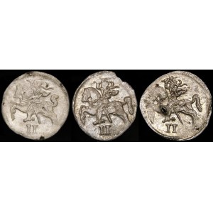 Sigismund II Augustus, Dvudenary, Vilnius - set (pcs. 3)