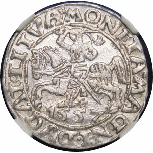 Sigismund II Augustus, Half-penny 1557, Vilnius - trifoliate - Behm - beautiful and rare