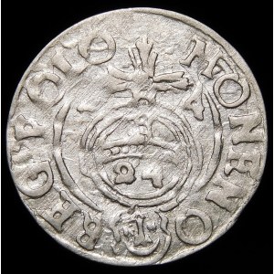 Sigismund III Vasa, Half-track 1624, Bydgoszcz - Saxon in decorative shield