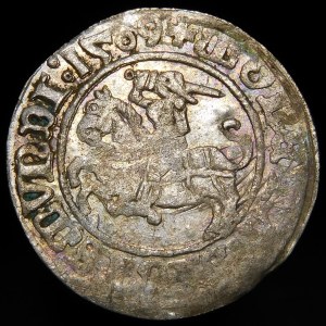 Sigismund I. der Alte, Halbpfennig 1509, Wilna - Herold ohne Scheide - Doppelpunkt