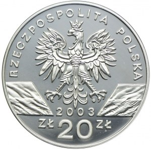 20 złotych 2003 Węgorz