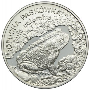 20 złotych 1998 Ropucha