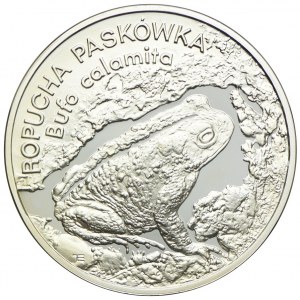 20 złotych 1998, Ropucha Paskówka