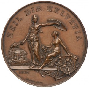 Szwajcaria, medal strzelecki - Frauenfeld 1890