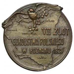 VII Zlot Sokolstwa Polskiego, Poznań 1929