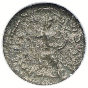 Cesarstwo Rzymskie, Severus Aleksander, denar, GCN G08