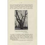 WRÓBLEWSKI, Antoni - Konserwacja starych drzew. Wyd. 2. Kraków 1939, Państwowa Rada Ochrony Przyrody. 23 cm...