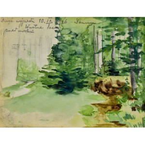 Kazimierz CHMURSKI (1897-1942), Wnętrze lasu, 1926