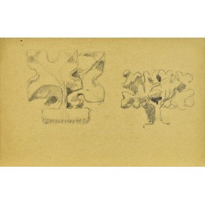 Stanislaw ŻURAWSKI (1889-1976), Sketches of trees