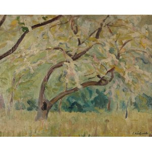 Jan WODYŃSKI (1903-1988), Pejzaż z drzewami
