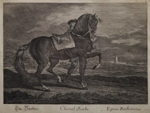 Johann Elias RIDINGER (1698-1767), Johann Gottfried SEUTER (1717-1800) - rytownik, Koń berberyjski - z cyklu „Rasy i odmiany koni”, ok. 1760 (?)