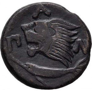 Sarmatia, Pantikapaion, 4. - 2. stol. př.Kr., AE 19mm, Hlava mladého Pana zleva / hlava lva zleva,