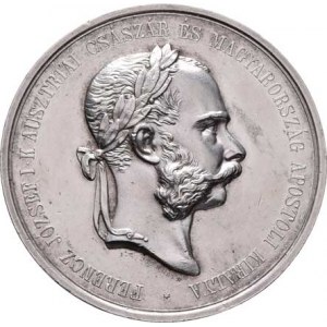 František Josef I., 1848 - 1916, Tautenhayn - hospodářská výstava v Aradu 1890 - hlava