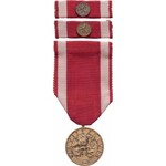 Československo, Zl.medaile řádu Bílého lva Za vítězství, VM.15-IV-B,