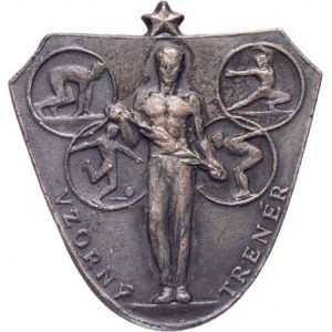 Československo - různé, ČSTV - odznak Vzorný trenér, Pulec.C.30-g-2, Nesign.,