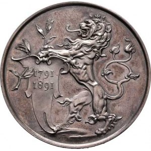 Praha - medaile Zemské jubilejní výstavy 1891, Braun - stříbrná medaile pro vystavovatele - český