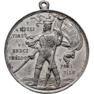Praha - medaile Zemské jubilejní výstavy 1891, ČOS - II.všesokolský slet 28.-29.6.1891 - sokol s