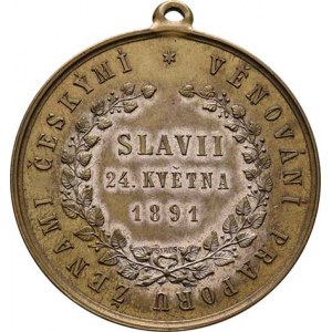 Praha - medaile Zemské jubilejní výstavy 1891, Aleš a Pštross - věnov. praporu Slavii 1891 - muž