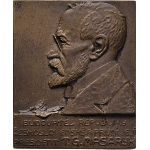 Československo - medaile s portrétem T.G.Masaryka, Odehnal a Anýž - AE jednostranná plaketa (1919)