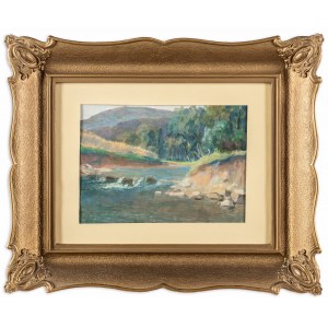 Serwin-Oracki Mieczyslaw (1912-1977), Landscape with a mountain river, 1950