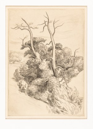 Prochaska Franciszek (1891-1972), Drzewa w wąwozie, 1921