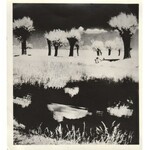 Edward Hartwig - Wierzby, lata 60. Vintage print, pieczęć ZAIKS na rewersie, 21 cm x 18,5 cm [papier]; 18...