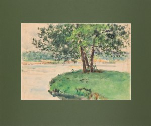 Tadeusz Cieślewski (1870-1956), Drzewo w Łazienkach Królewskich w Warszawie, lata 40-te XX w.