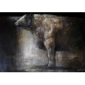 Paulina Mager, Bull