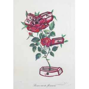 Dali Salvador, ROSA E MORTE FLORISCENS, 1972