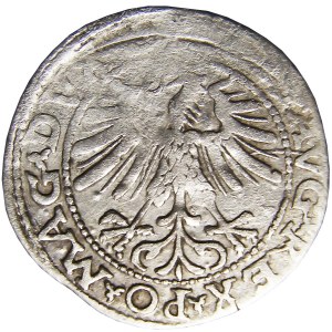 Zygmunt II August, półgrosz 1563, Wilno, mała Pogoń - LIT, rzadki