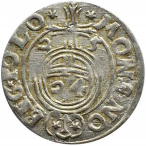 Sigismund III. Vasa, Halbhorn 1625, Bromberg, gekippte Fünf