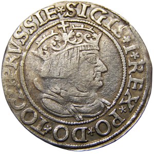 Zygmunt I Stary, grosz 1534, Toruń, rzadki typ popiersia