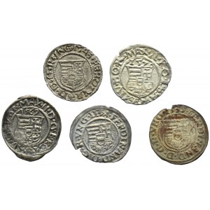Węgry, Habsburg, Maksymilian/Ferdynand, lot denarów, Kremnica
