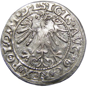 Zygmunt II August, półgrosz 1563, Wilno, RR - piękny
