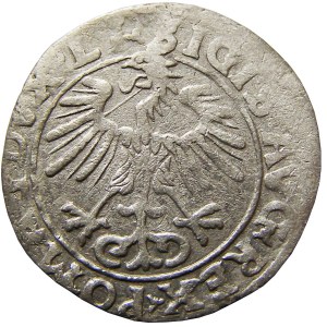 Zygmunt II August, półgrosz 1556, Wilno,..MANI.., Rzadki