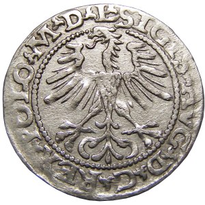 Zygmunt II August, półgrosz 1564, Wilno