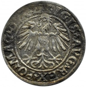 Zygmunt II August, półgrosz 1547, Wilno
