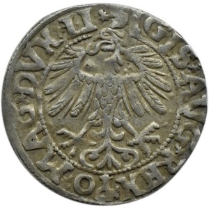 Zygmunt II August, półgrosz 1558, Wilno, LITV/LI