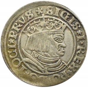 Zygmunt I Stary, grosz pruski 1532, Toruń, PRUS/PRUSS