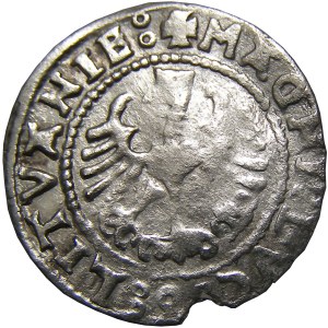 Zygmunt I Stary, półgrosz 1527, Wilno, RRR