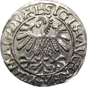 Zygmunt II August, półgrosz 1559, Wilno, MENNICZY