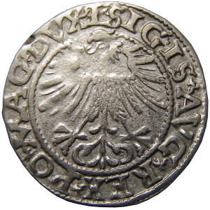 Zygmunt II August, półgrosz 1562, Wilno, TOPÓR