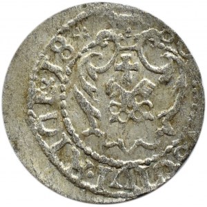 Zygmunt III Waza, szeląg *1618*, Ryga, RZADKOŚĆ