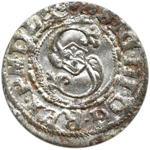 Zygmunt III Waza, szeląg, ucięta data, Ryga