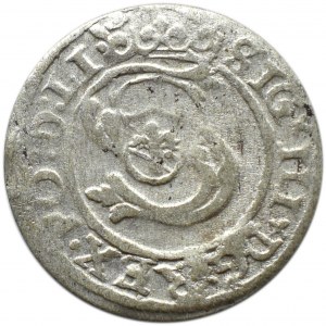 Zygmunt III Waza, szeląg, 1600, Ryga