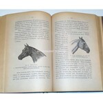 GRAFF- HODOWLA ZWIERZĄT  t.1 wyd. 1886 hodowla koni, ryciny