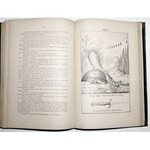 1889 - Załęski, O MASONII W POLSCE od roku 1742 do 1822 [wyd.1]